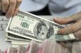 Dolar "istihdam" ile çıkışa geçti