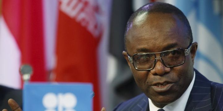 Nijerya: OPEC diğer üreticilerle Rusya