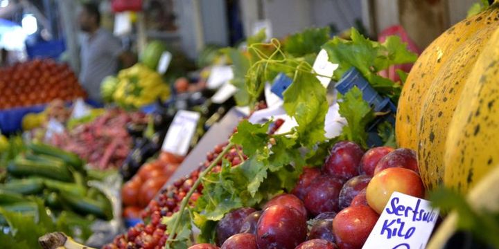 Tahıl, meyve ve sebze üretiminde artış bekleniyor