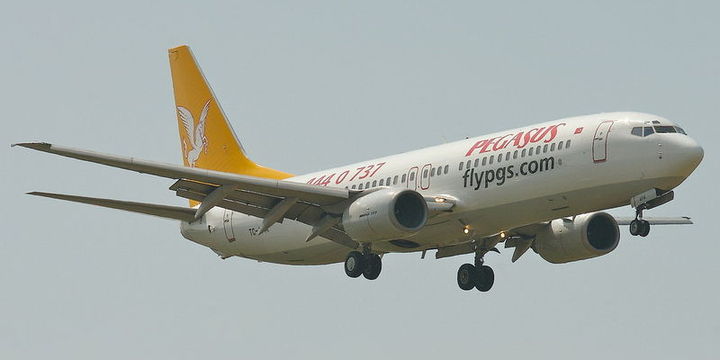 Pegasus