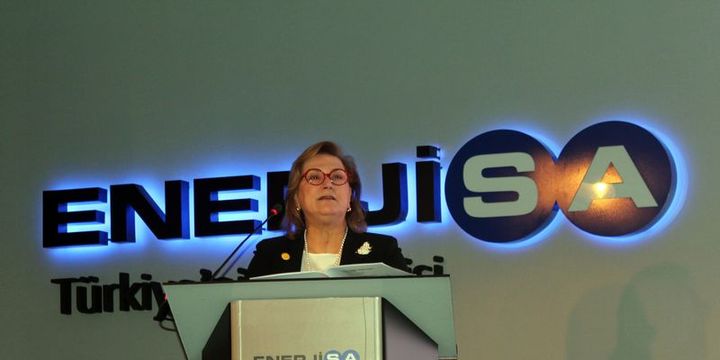 Enerjisa
