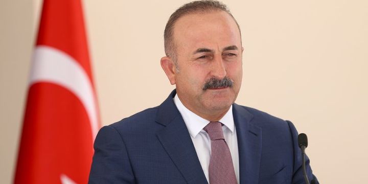 Çavuşoğlu: Viyana Büyükelçisi