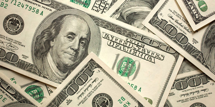Dolar Fischer