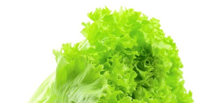 Ağustosta en fazla kıvırcık salatanın fiyatı arttı
