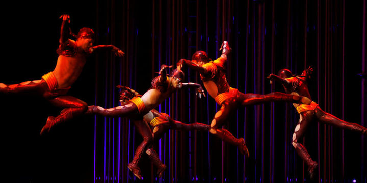Cirque Du Soleil