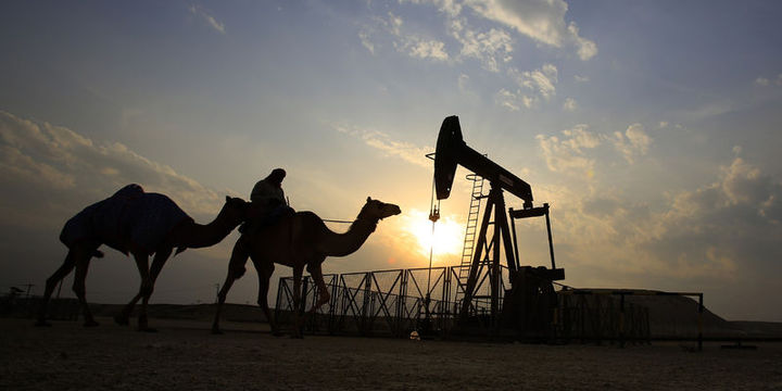 Petrol zengini ülkeler ekonomik modellerini değiştirmeye çalışıyor