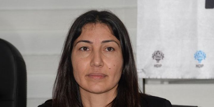 HDP Milletvekilleri Aydoğan ve Birlik de tutuklandı