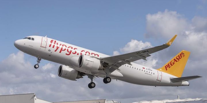 Pegasus