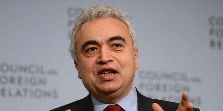 UEA/Birol: Türkiye bölgesinde yenilenebilir enerjide lider olabilir