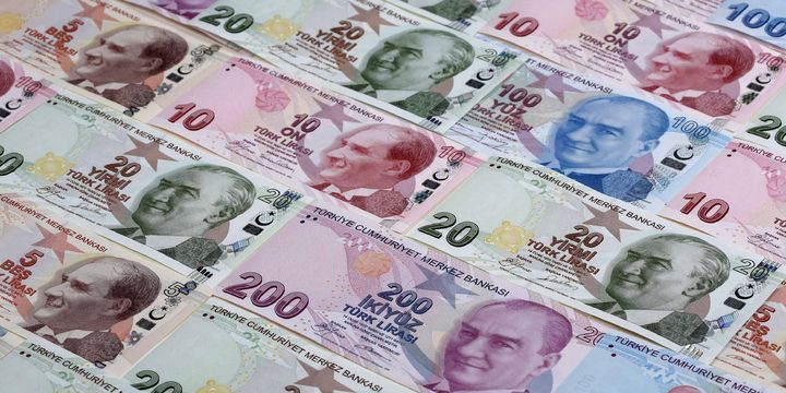 IMF göstergesi: TL