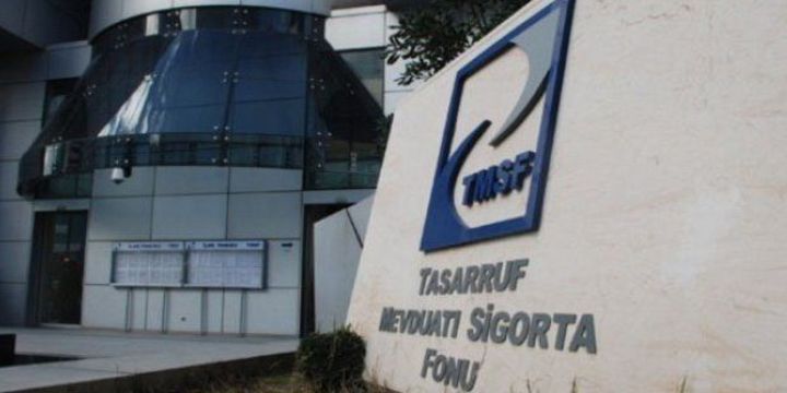TMSF el koyulan şirketlerin satışı için danışman şirketleri belirledi