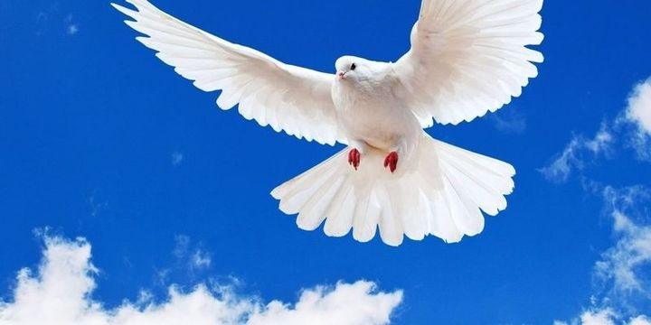 Son 3 yılda büyük ikramiye çeyrek bilete isabet etti