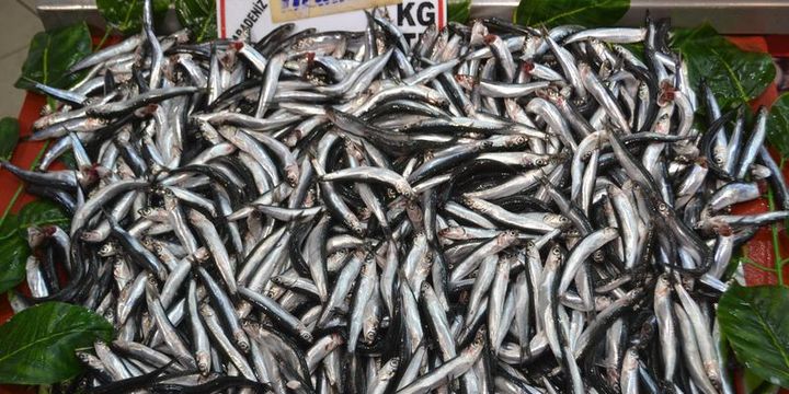 Balık fiyatlarına "kar" zammı geldi