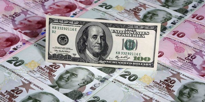 Dolar/TL rekor tazelemesinin ardından geriledi