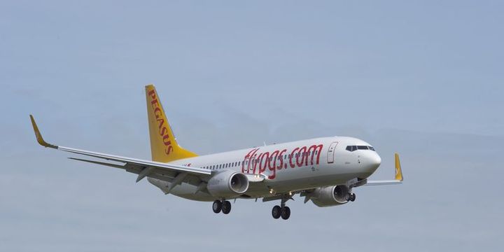 Pegasus