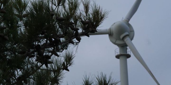 Yenilenebilir enerjiye 1,8 milyar lira destek