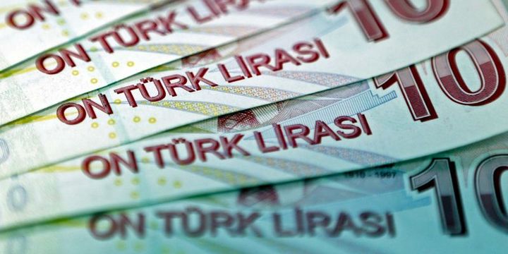 "TL varlıklarda sert satış için yeterli argüman yok"