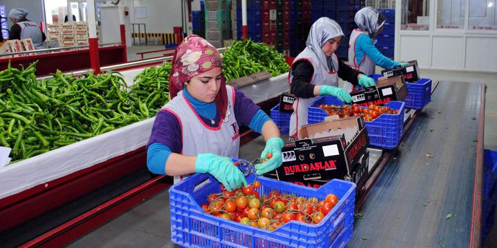 Yaş meyve ve sebzede yeni dönem