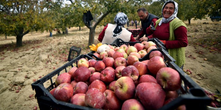 TZOB: Kırsal nüfus üçte bir oranında azaldı