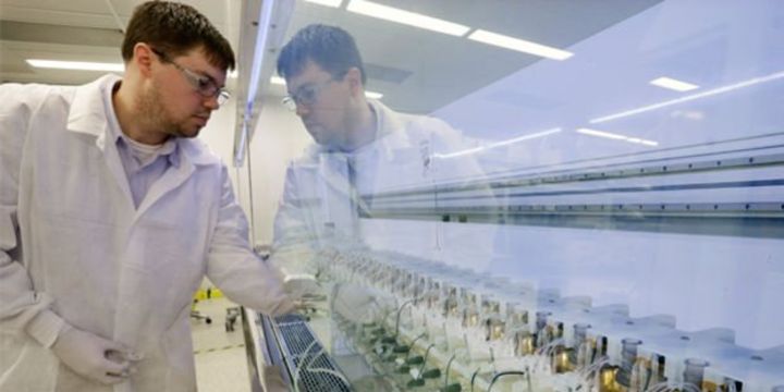 Dünyanın en eski ilaç şirketi Merck&Co Vilsan