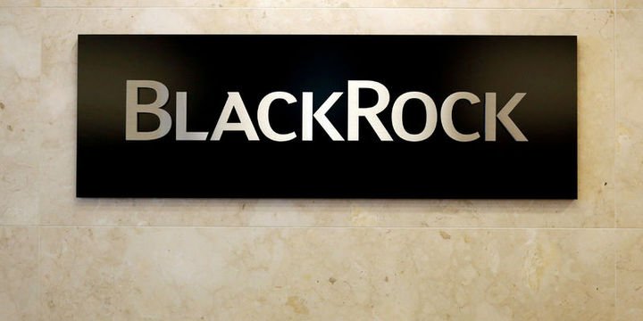 Blackrock: Gelişen hisse rallisi daha yeni başladı