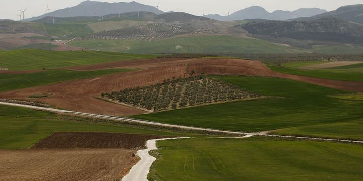 "Köye dönüş teşvik edilsin"