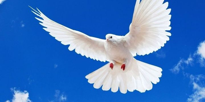Milli Piyango yılbaşı özel çekiliş biletleri satışa sunuldu