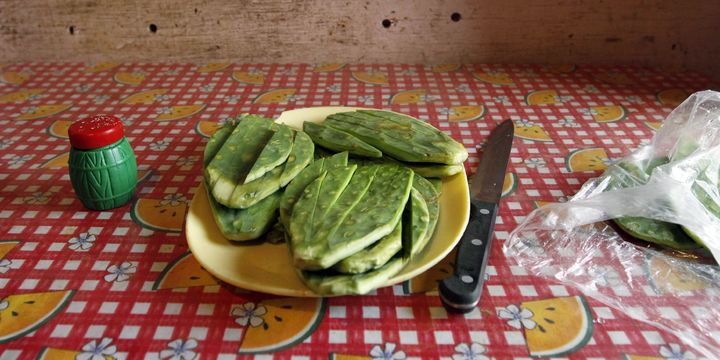 "Kaktüsü yemek menülerine koymanın zamanı geldi"