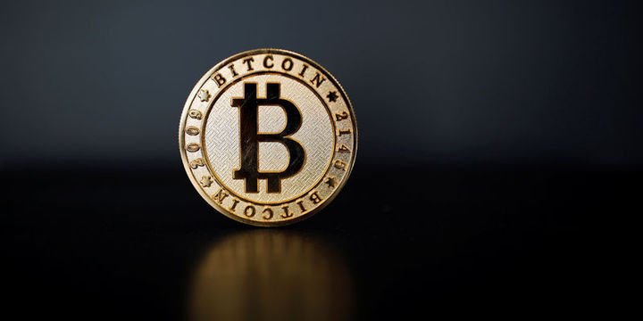 Bitcoin için lale çılgınlığı uyarısı