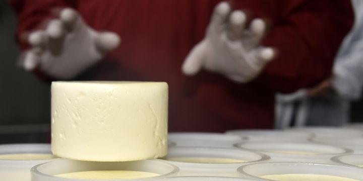 Süt ürünlerine Ağustos-Ekim döneminde yüzde 16