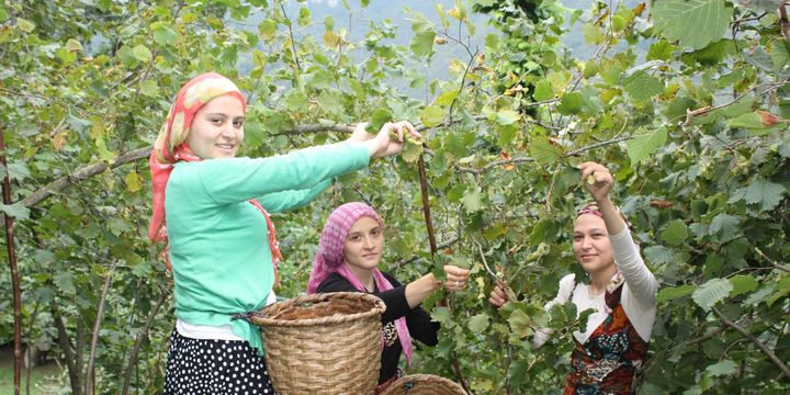Desteklerde başvuru süresi 29 Aralık