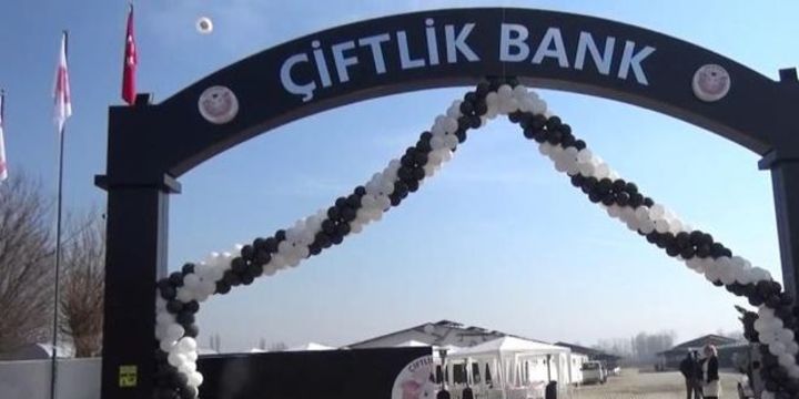 Bakan Tüfenkci
