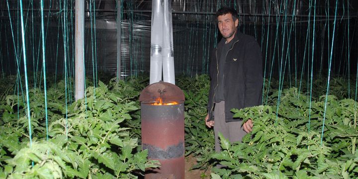 Üretici seralarda don nöbeti tutuyor