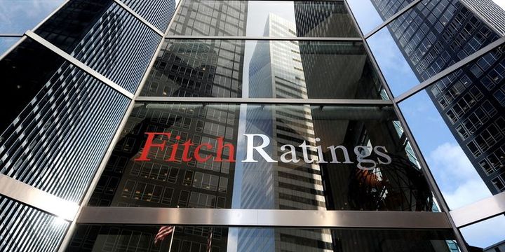 Fitch Almanya