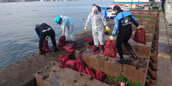 3 ton midye denize döküldü