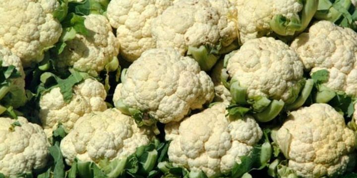 Martta en fazla karnabaharın fiyatı arttı
