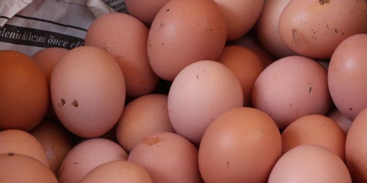 Tavuk yumurtası üretimi şubatta yüzde 8.4 azaldı