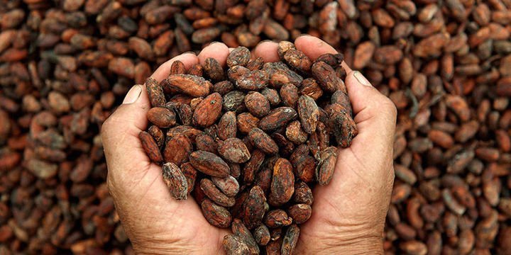 Emtia yatırımcısı ilk çeyrekte kakao ile kazandı