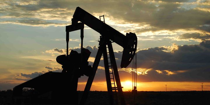 “Petrolde 300 dolar varil fiyatı imkansız değil”