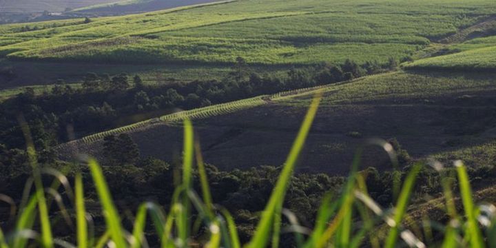Bloomberg HT Tarım Zirvesi günü