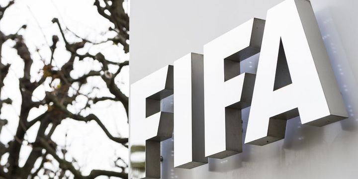FIFA