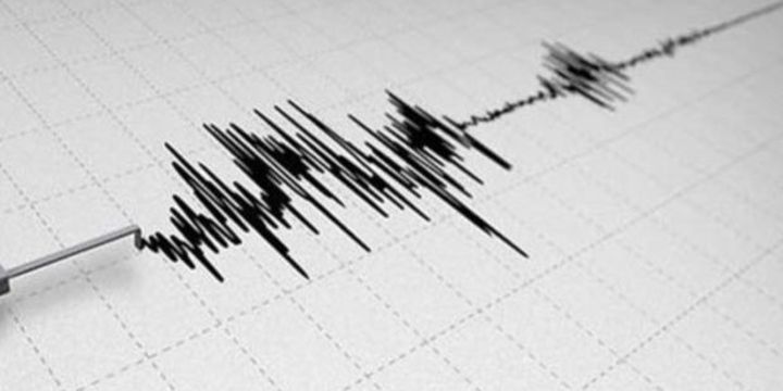 Girişim sayısı ve istihdamda en yüksek payı hizmet sektörü altı