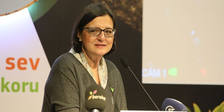 TEMA